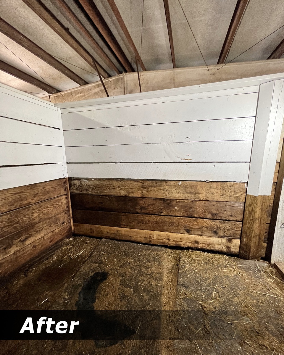 Stall walls after pressure washing