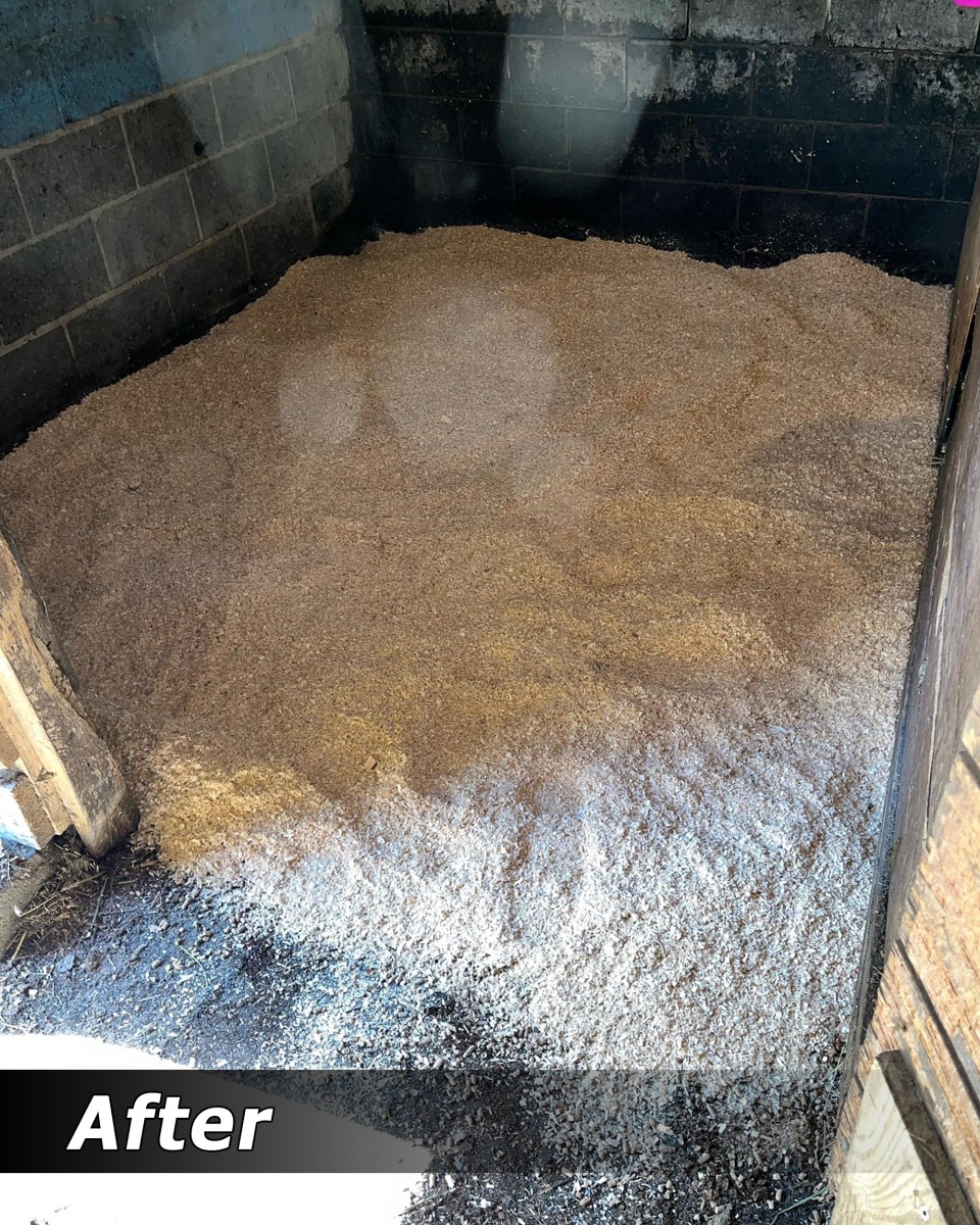 Stall after mucking and rebedding