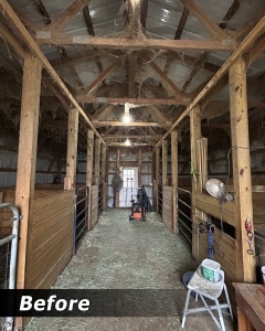 aisle-cobwebs-before