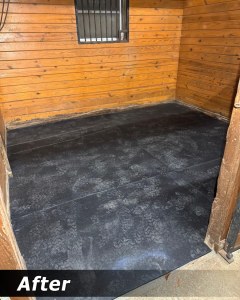 horse-stall-mats-need-to-be-replaced_after
