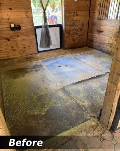 old-horse-stall-mats-before