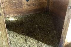 stall2-before stall2-before